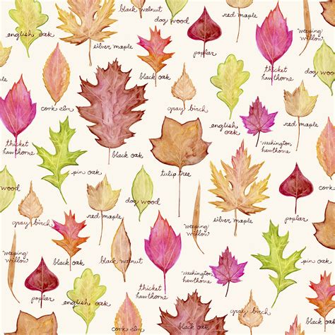 Leaf Collection .